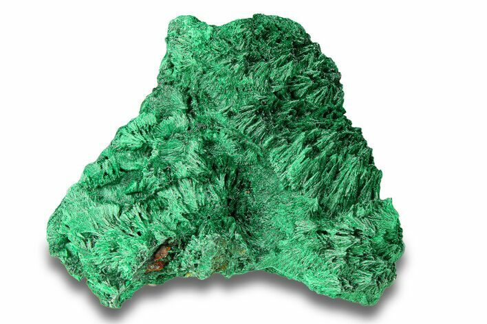 Fibrous Malachite Crystal Cluster - DR Congo #294661